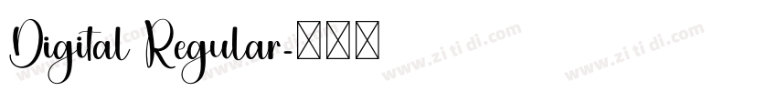 Digital Regular字体转换 Digital Regular字体转换